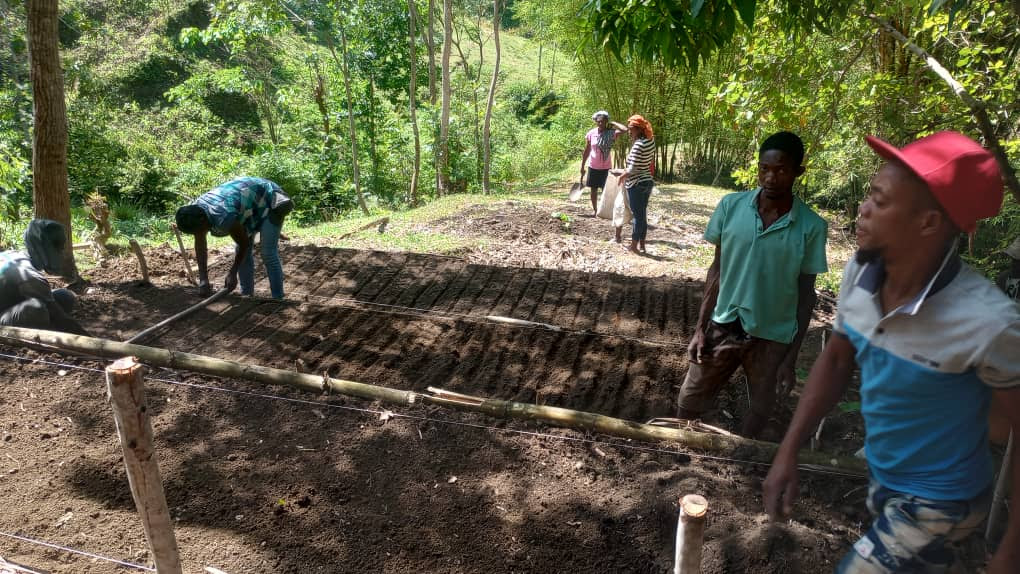 Haiti Reforestation