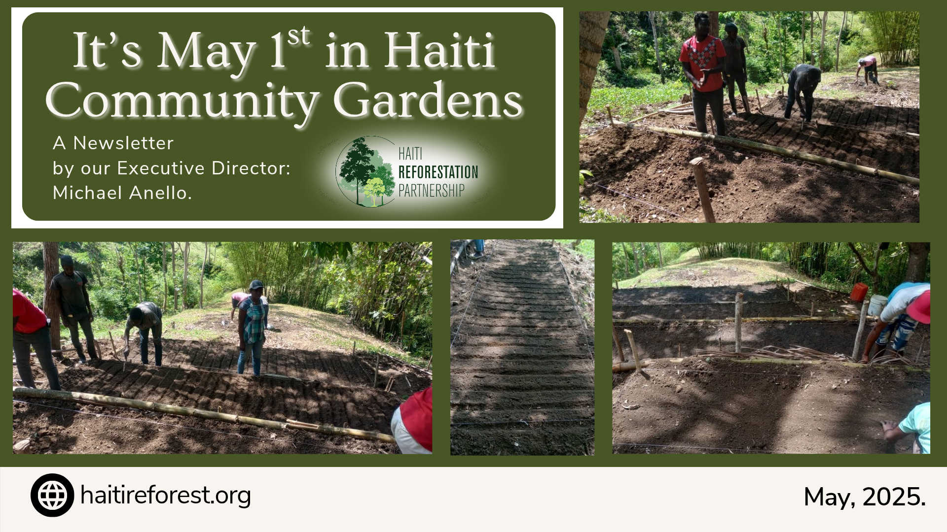 Haiti Reforestation