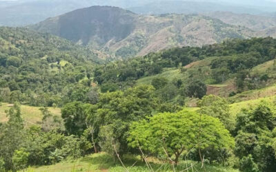 Holding the Line with Haiti:  A Personal Update from the Ground