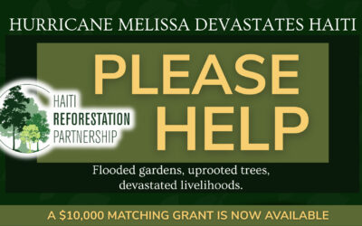 After the Storm: A Call to Stand with Haiti