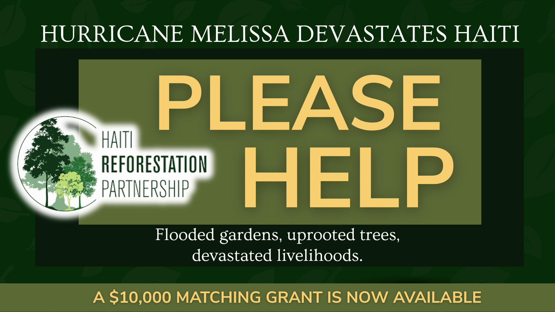 After the Storm: A Call to Stand with Haiti