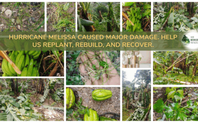 Our Trees, Our Gardens, Our People — We Need You Now