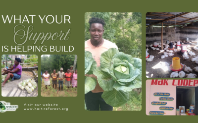 What Your Support Is Helping Build