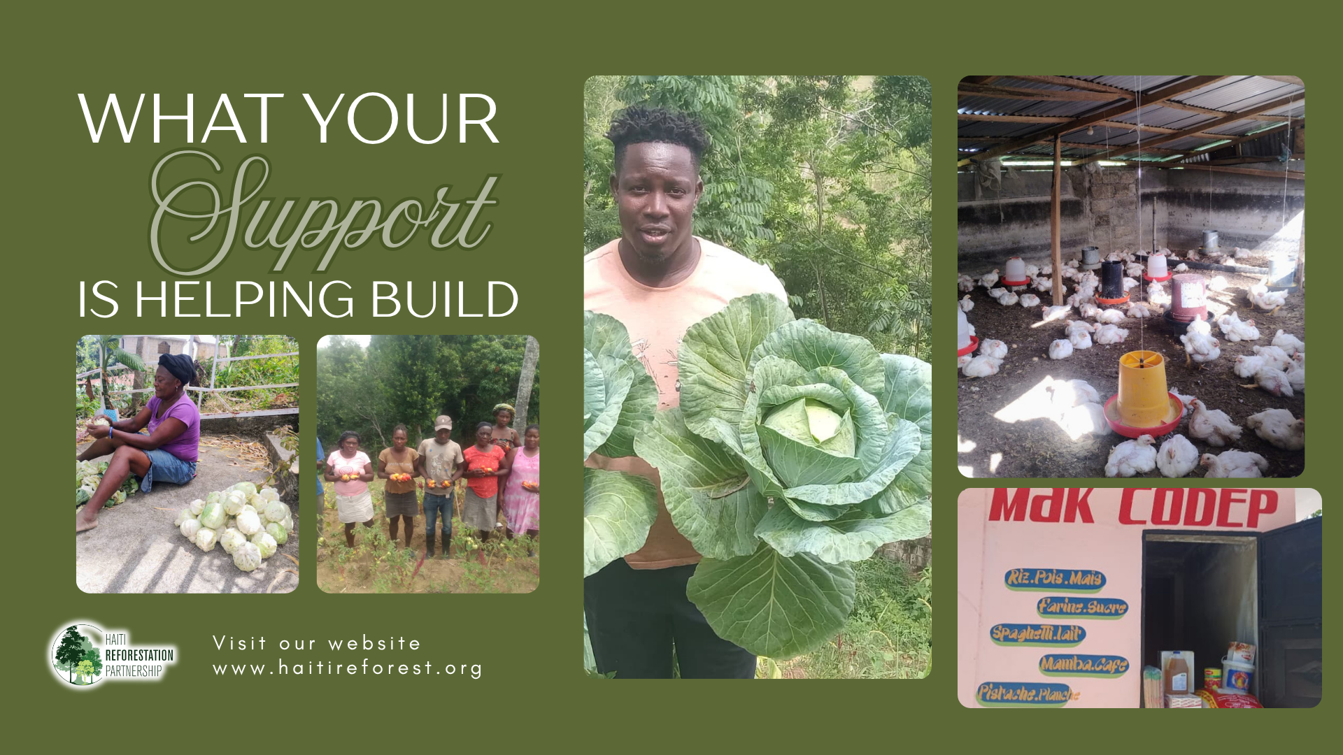 Updates from CODEP in Haiti