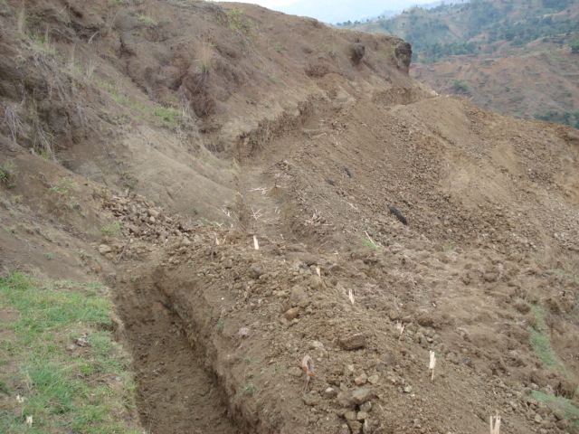 Offsetting your carbon footprint will mean putting trees on Haitian mountainsides like these.