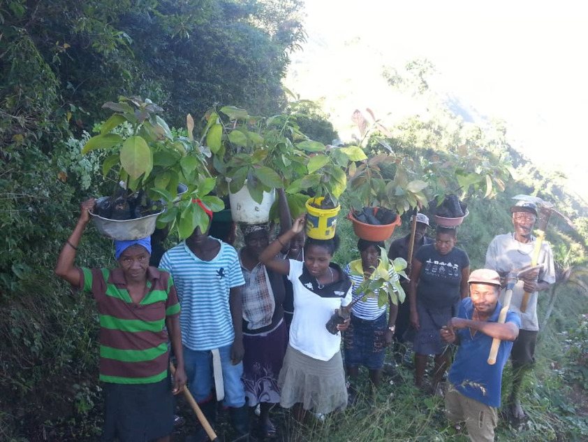 Celebrate our 30th. Send a gift to support the gritty, important work of reforestation in Haiti!