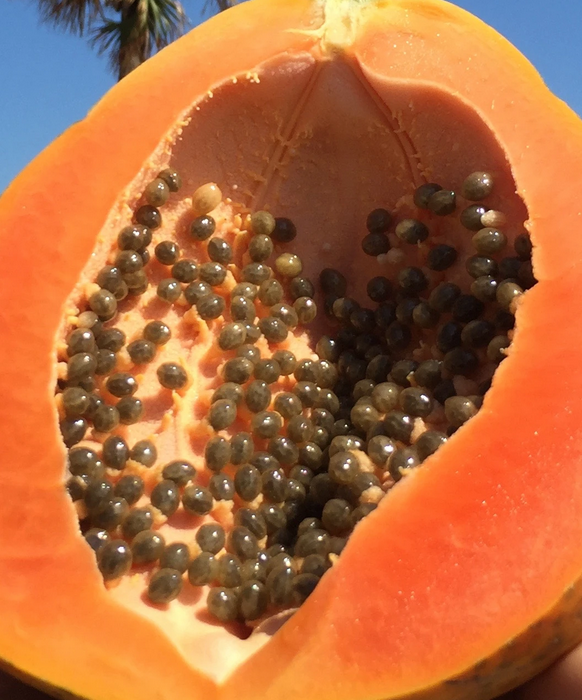 Papaya is sweet and has slippery, globby seeds.  