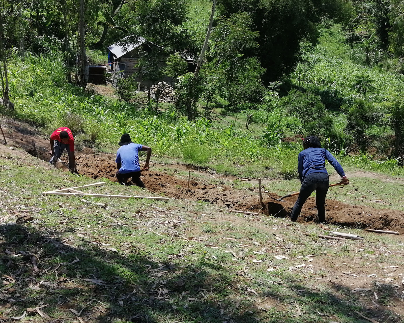 Digging together along one of the ramps.