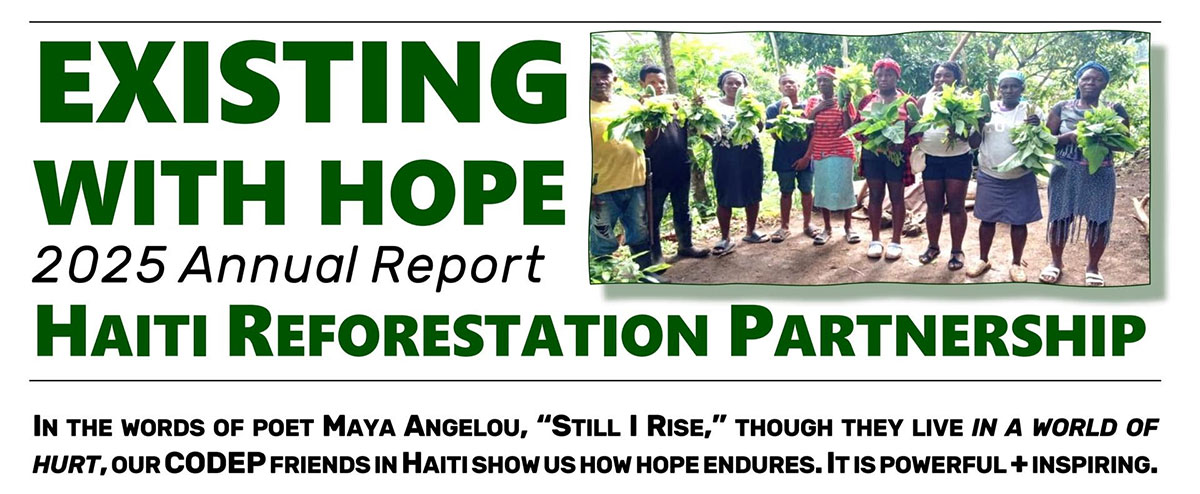 2025 Annual Report