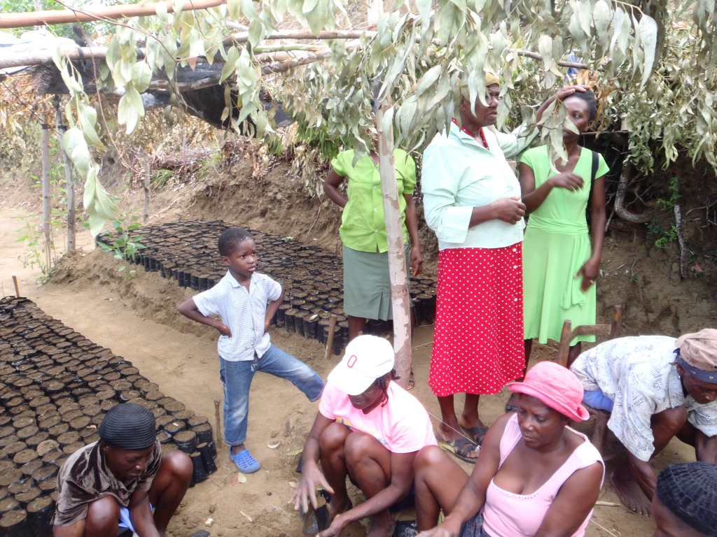 Madame Elysee explains seed germination. Planting techniques are also taught in the local school.