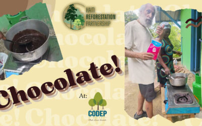 From Cacao Pods to Chocolate Bars
