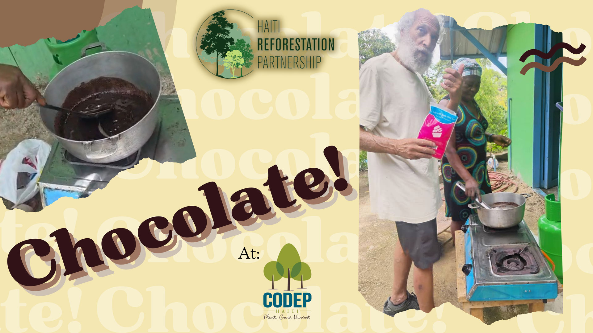 From Cacao Pods to Chocolate Bars