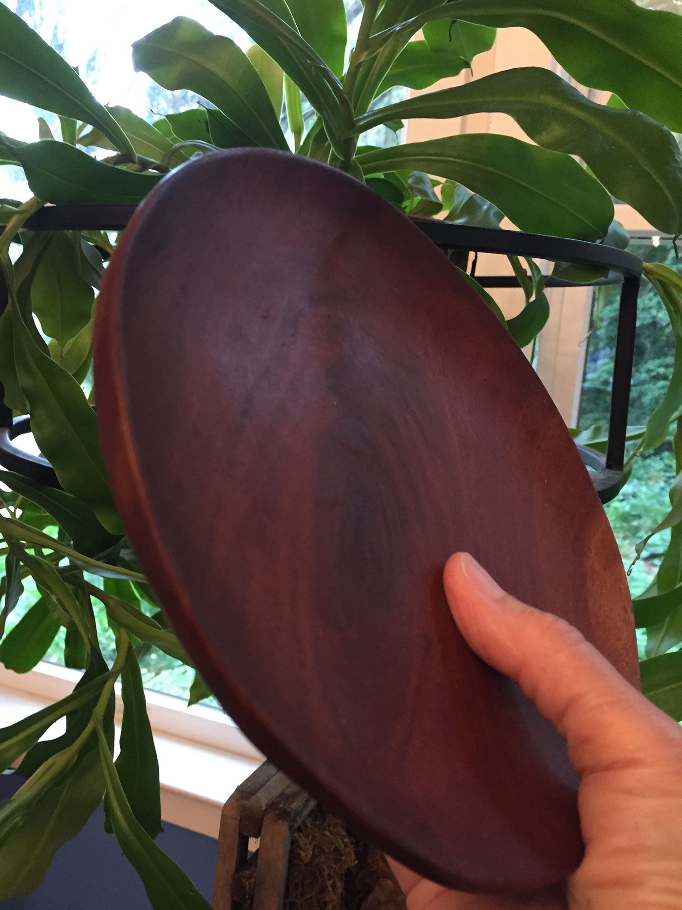 Richly Polished Wooden Plate