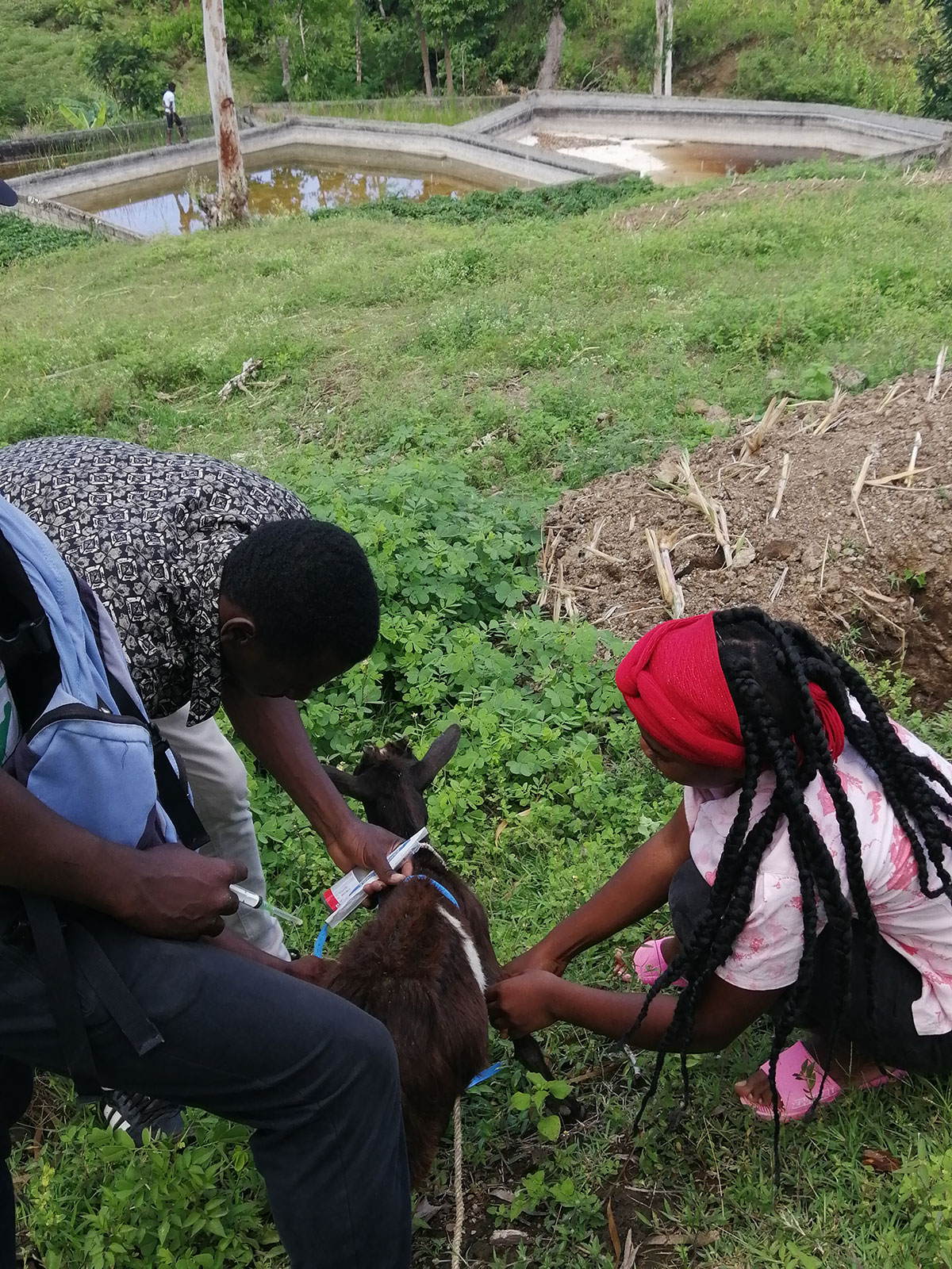 Proteges work with Hermane to administer the shot.