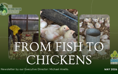 From Fish to Chickens