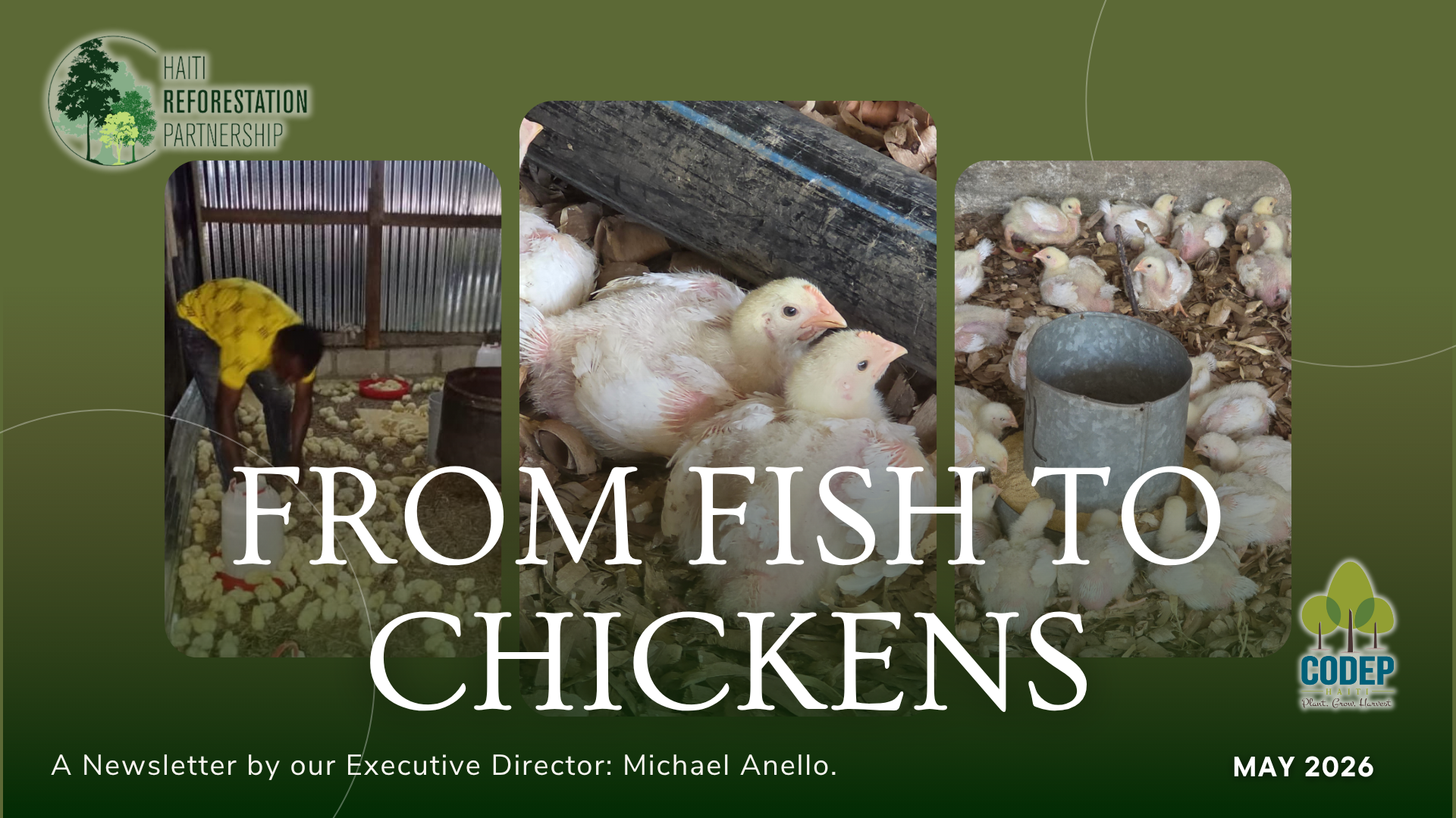 From Fish to Chickens