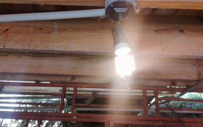 And Then There Was Light…