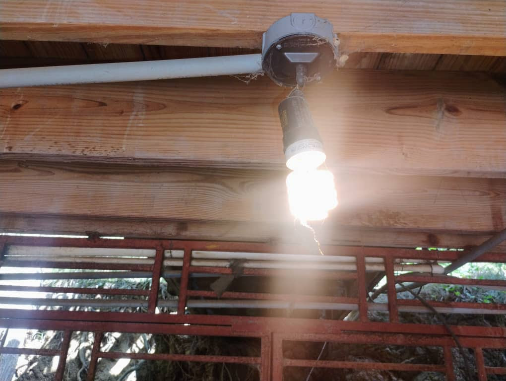 And Then There Was Light...