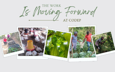 The Work is Moving Forward