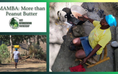 MAMBA: MORE THAN PEANUT BUTTER