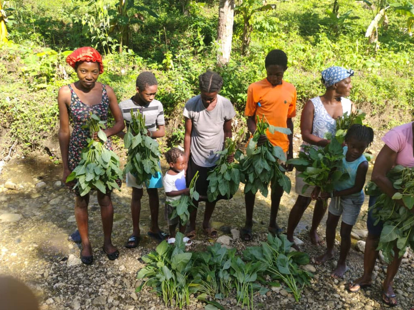 From Sunlight to Supper: Spinach for Survival