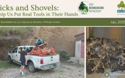 Picks and Shovels:  Help Us Put Real Tools in Their Hands